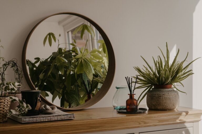 Sustainable Home Decor Choices for Eco-Conscious Shoppers